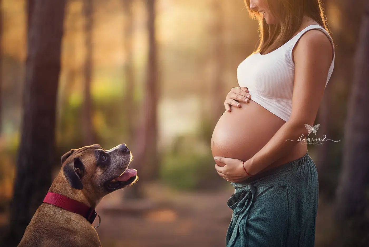 Detalle de barriga y perro en una sesión de embarazo al atardecer