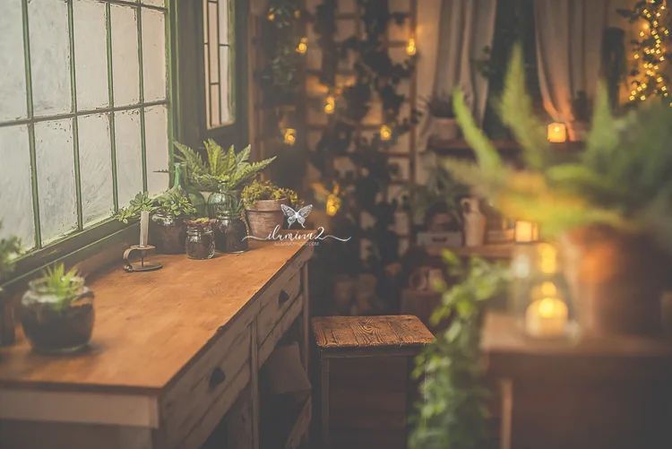 Sesiones de fotos de Navidad