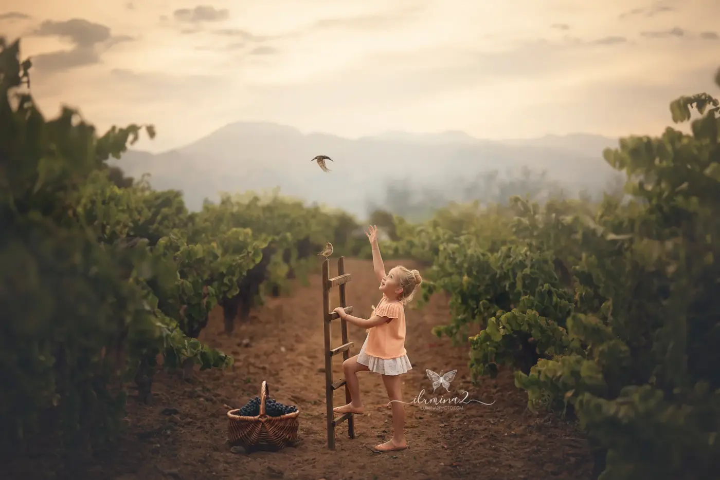 Reportajes de fotos para niños al aire libre