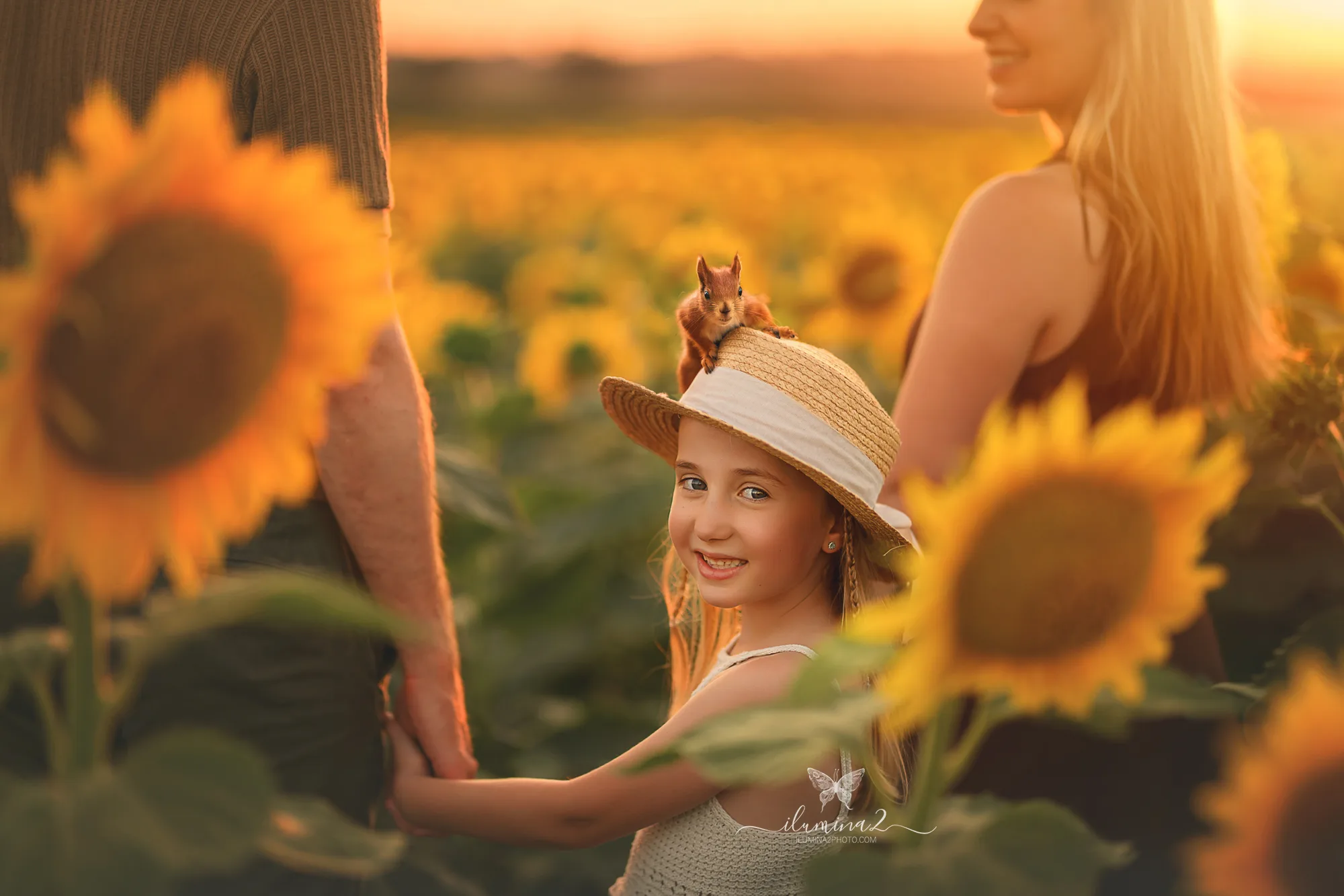 Sesiones de fotos familiares en campo de girasoles