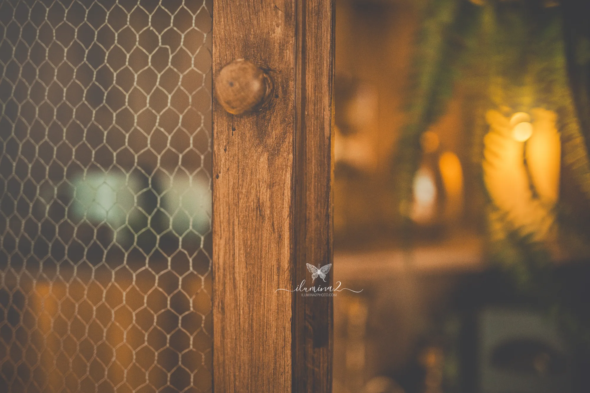 Reportaje de fotos de Navidad en Barcelona