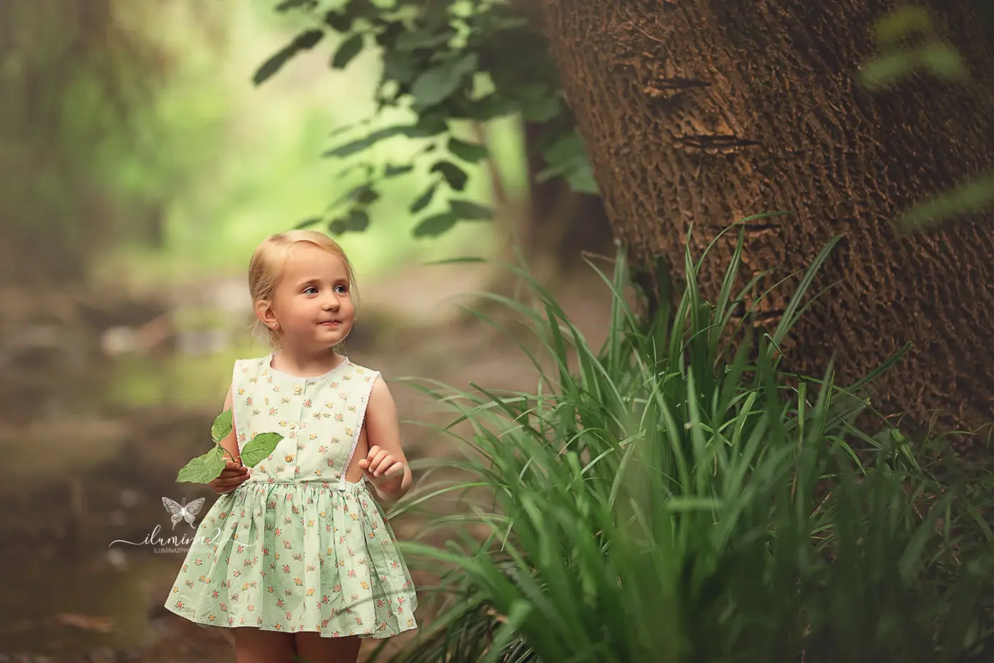 Dónde hacer fotos de familia en exterior cerca de Barcelona Ilumina2 Photo Familia junto a los árboles centenarios del Montseny en una sesión de fotos en el bosque